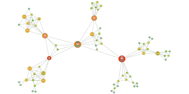 Graph visualization of a criminal network 
