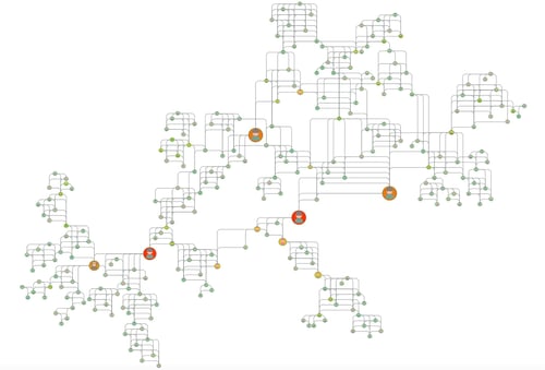 A graph of a criminal network