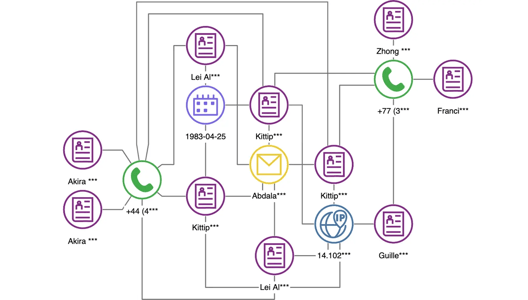 Example Fraud application built with Tom Sawyer Perspectives.
