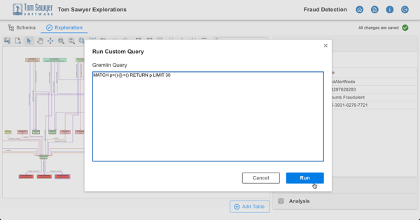 Analysts have added flexibility to directly enter custom Cypher and Gremlin queries.