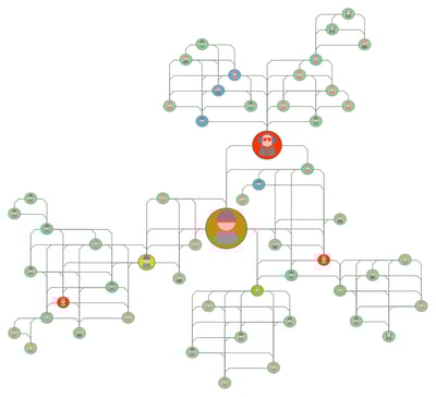 Perspectives graph intelligence algorithms can be run in real-time or interactively by users