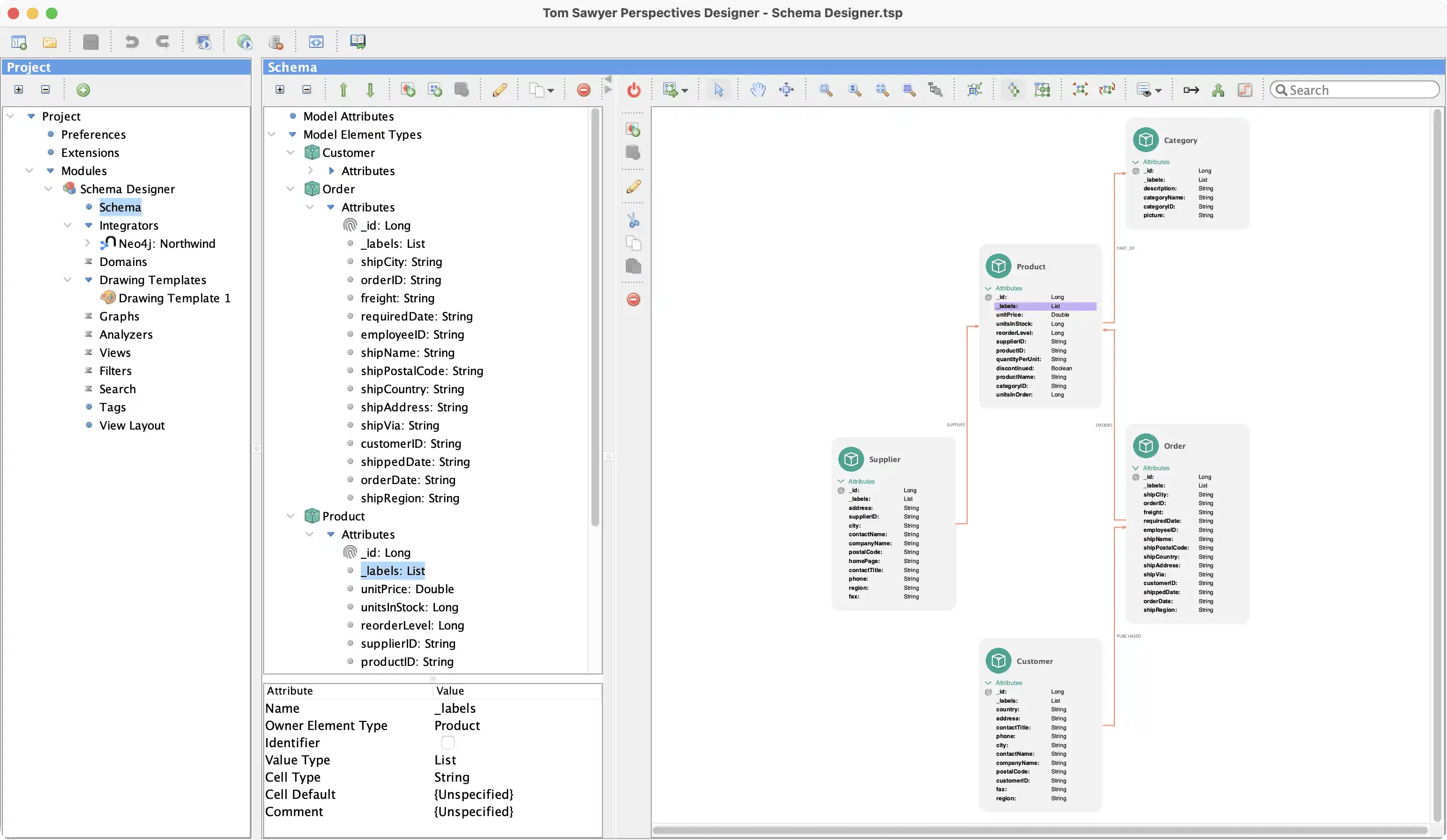 The Tom Sawyer Perspectives schema editor.