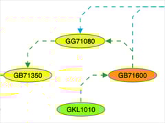 Customize node and edge colors.