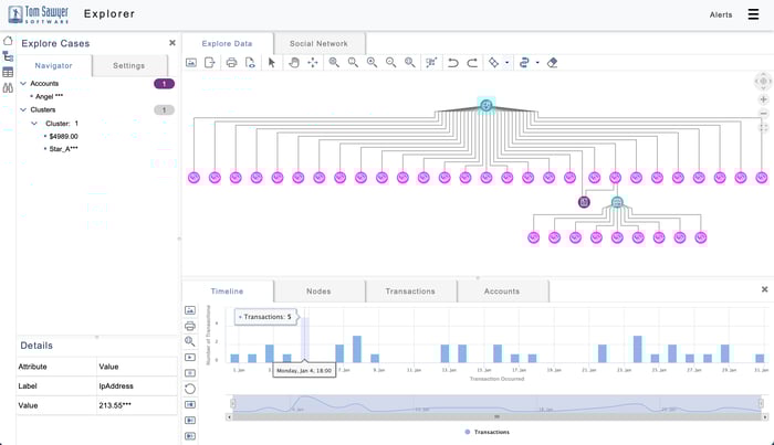 Graph visualization and timeline of suspicious transactions