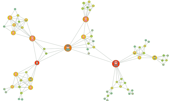 Crime Network graph application example