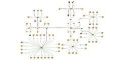 Network Editor example application