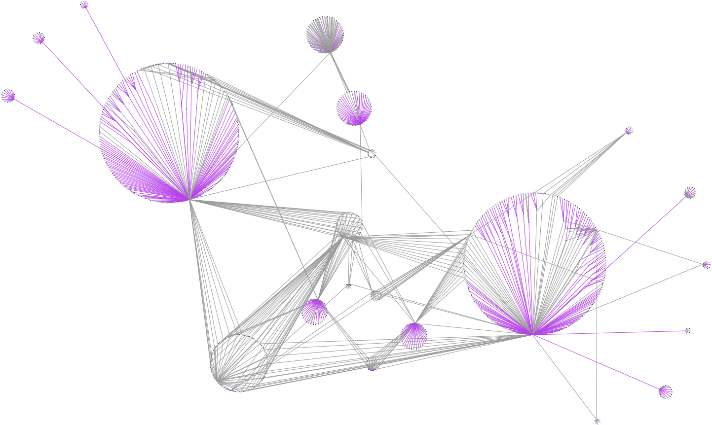 Bridge Detection