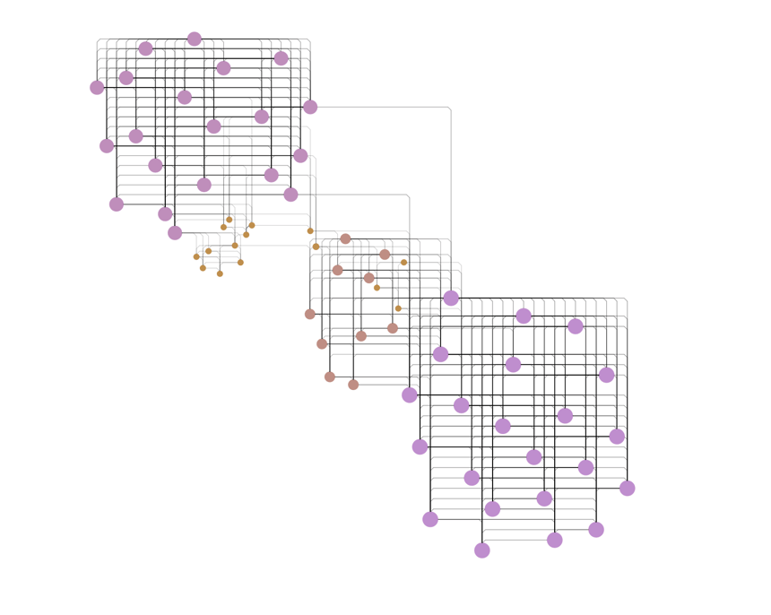 A hierarchy of key graph elements