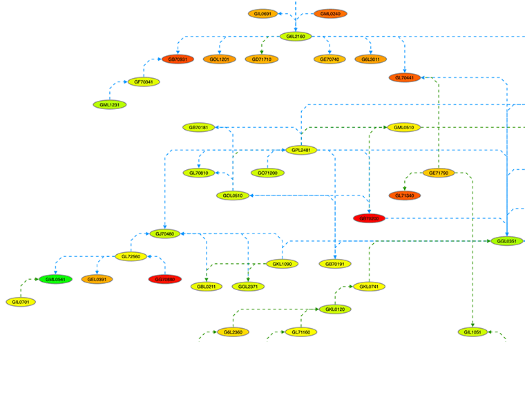 Bundle Layout