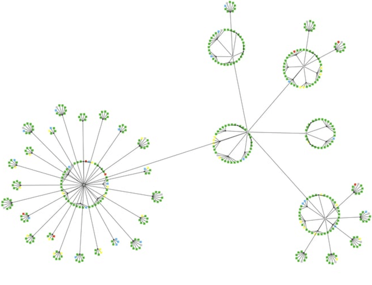 Circular Layout